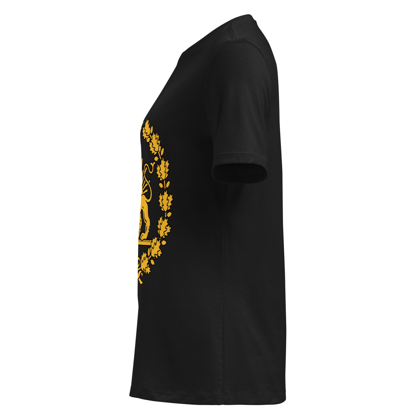Lion and Sun - Women's T-Shirt